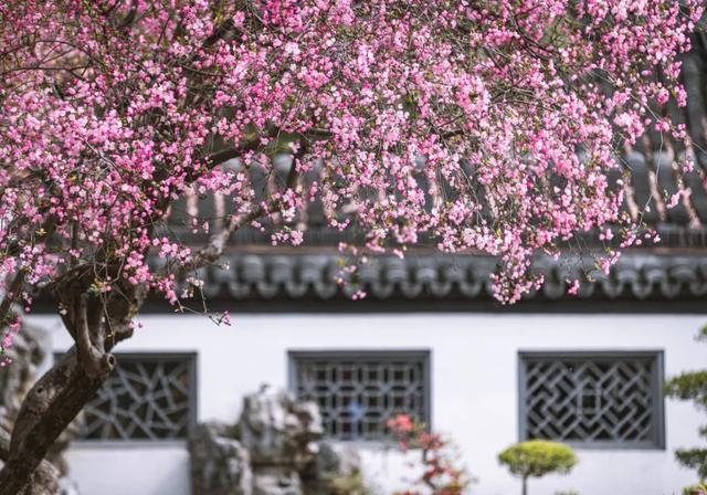 春天来了唯美哲理句子 春天来了唯美哲理句子