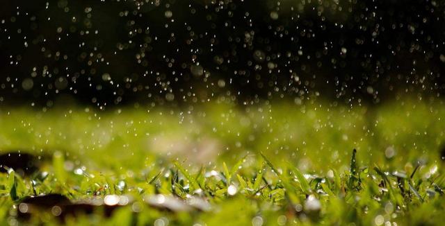 关于雨后的唯美句子 关于雨后的唯美句子