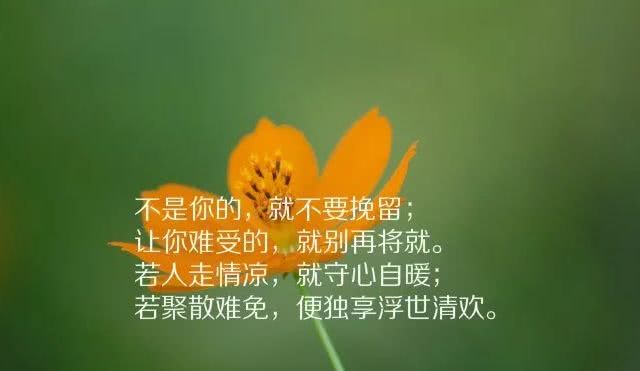致自己的唯美句子励志【致自己的唯美句子四十岁】