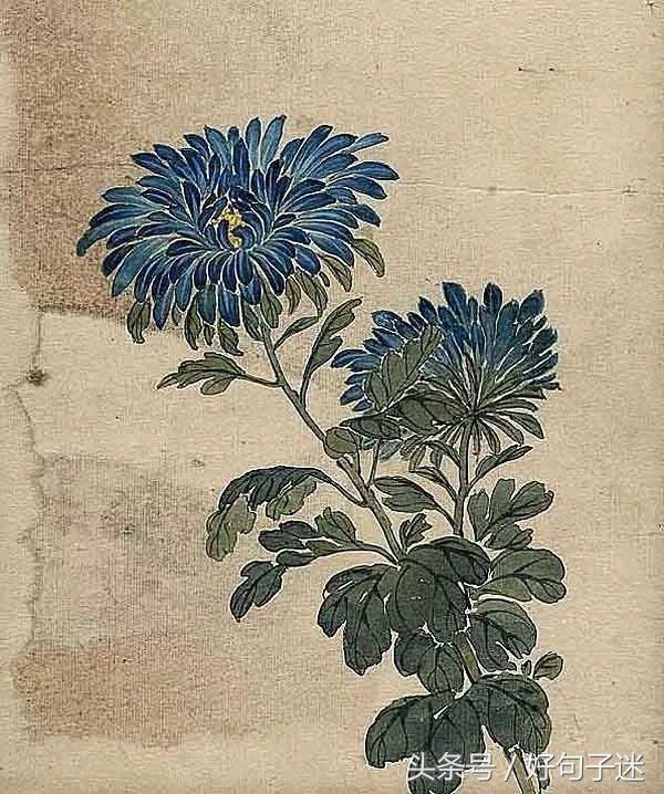 好听的句子唯美短句古风 好听的句子唯美短句古风