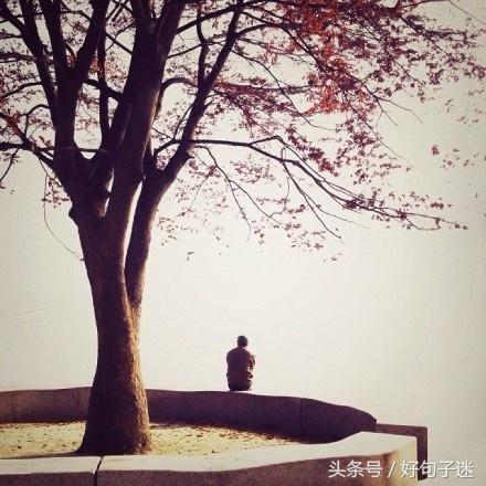 唯美伤感的句子短语 唯美伤感的句子短语
