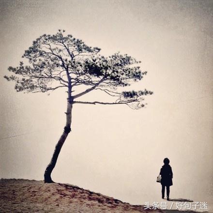 唯美伤感的句子短语 唯美伤感的句子短语