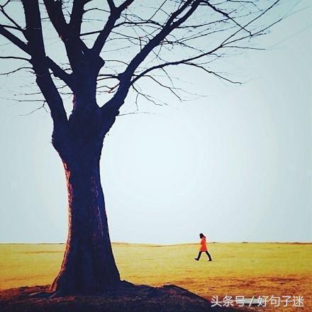 唯美伤感的句子短语 唯美伤感的句子短语