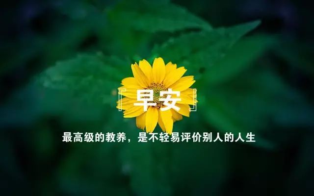 释放心情的唯美句子_(心情好的唯美短句)