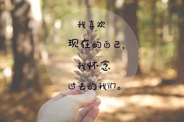 最好的句子_(最好的自己短句)
