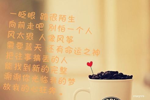 致自己的唯美句子图片_(情感语录短句配图)