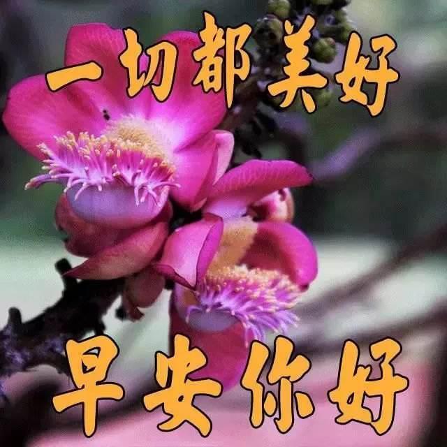 阳光简短励志唯美句子配图 阳光简短励志唯美句子配图