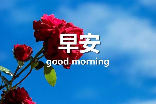 阳光简短励志唯美句子配图 阳光简短励志唯美句子配图