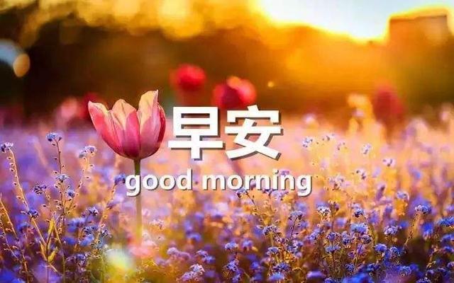 阳光简短励志唯美句子配图 阳光简短励志唯美句子配图
