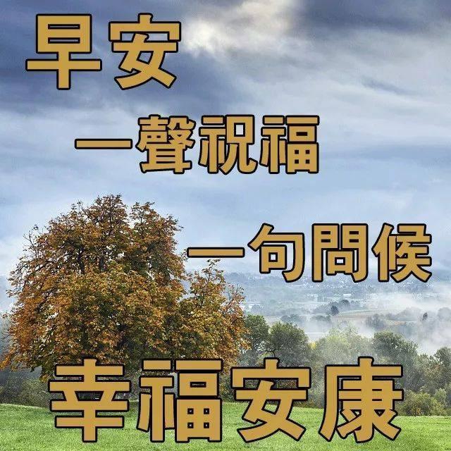 阳光简短励志唯美句子配图 阳光简短励志唯美句子配图