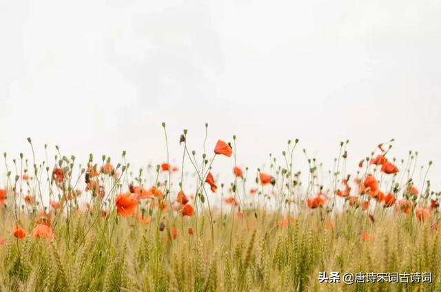 唯美句子摘抄古风励志古诗 唯美句子摘抄古风励志古诗