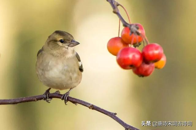 唯美句子摘抄古风励志古诗 唯美句子摘抄古风励志古诗