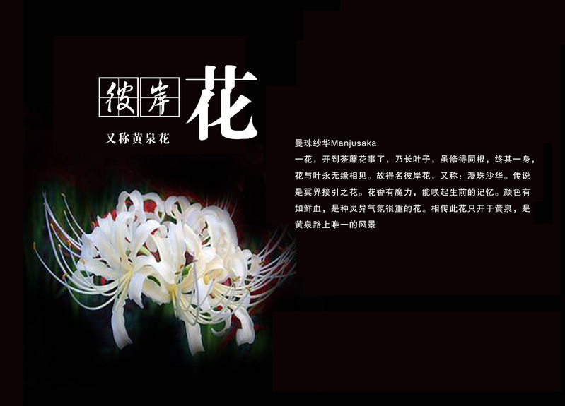 未曾谋面的唯美句子_(虽未曾谋面下一句)