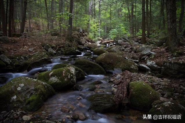 清晨的阳光唯美句子图片 清晨的阳光唯美句子图片
