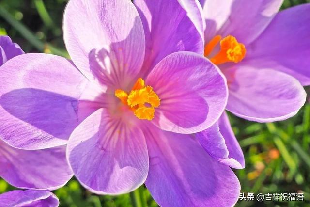清晨的阳光唯美句子图片 清晨的阳光唯美句子图片