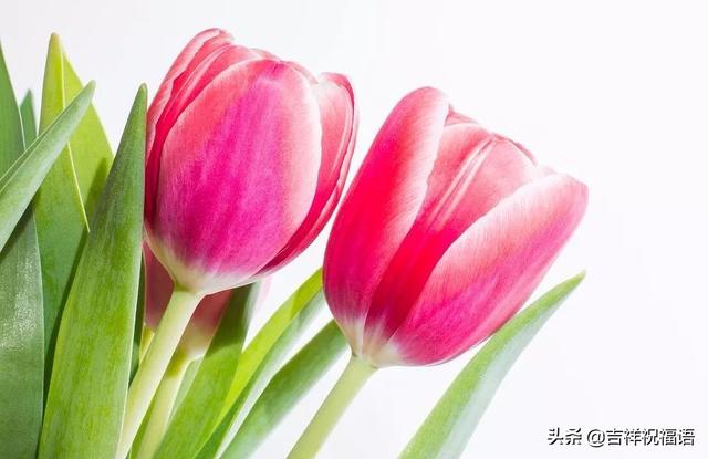 清晨的阳光唯美句子图片 清晨的阳光唯美句子图片