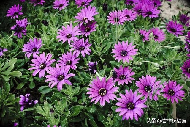 清晨的阳光唯美句子图片 清晨的阳光唯美句子图片