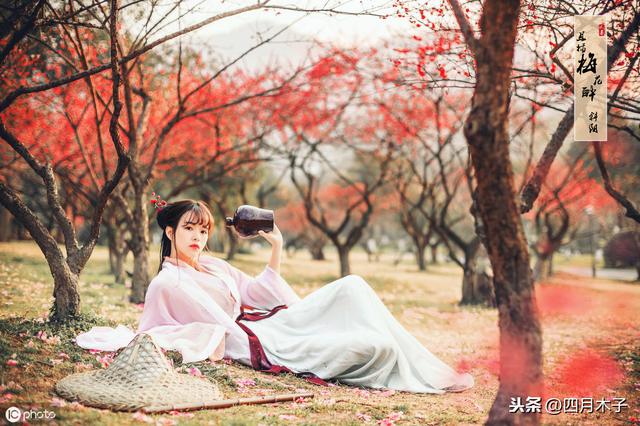 唯美句子摘抄大全古风 唯美句子摘抄大全古风