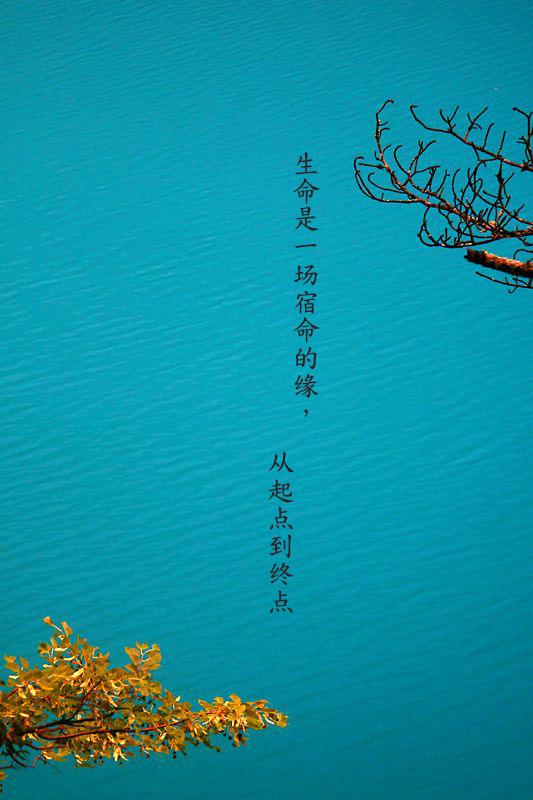 古风长篇唯美句子:一低眉,一回首,一帘幽梦