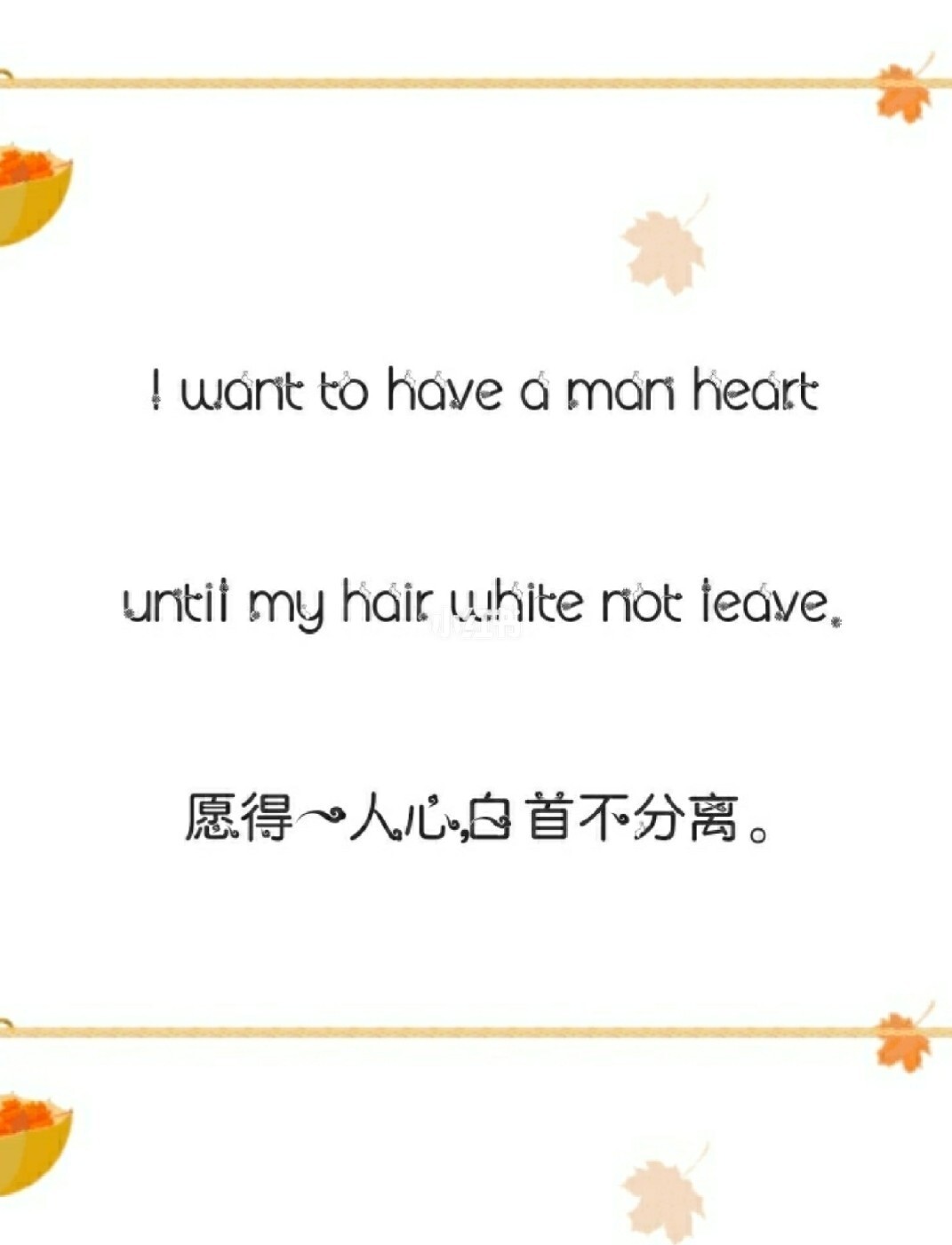 唯美古风句子原文带翻译【古文情话用现代文翻译】