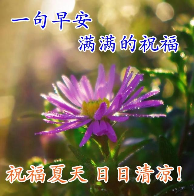 唯美句子 清新 简约短句 唯美句子 清新 简约短句