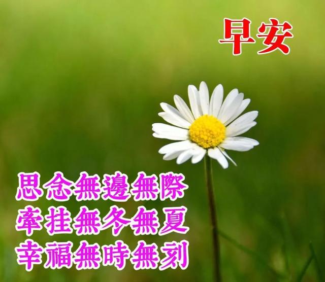 唯美句子 清新 简约短句 唯美句子 清新 简约短句