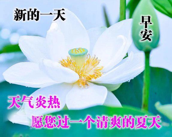 唯美句子 清新 简约短句 唯美句子 清新 简约短句