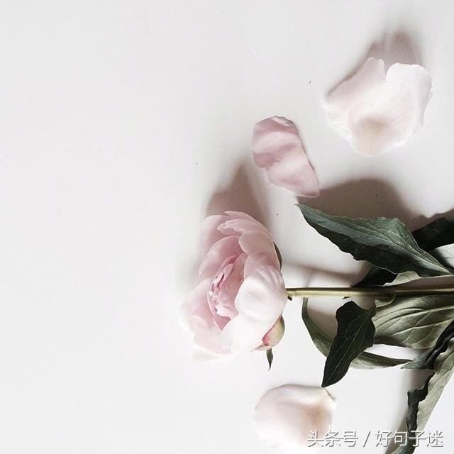 精美图片及唯美句子 精美图片及唯美句子