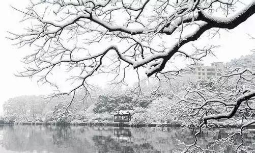 描写雪景的美文美句 描写雪景的美文美句
