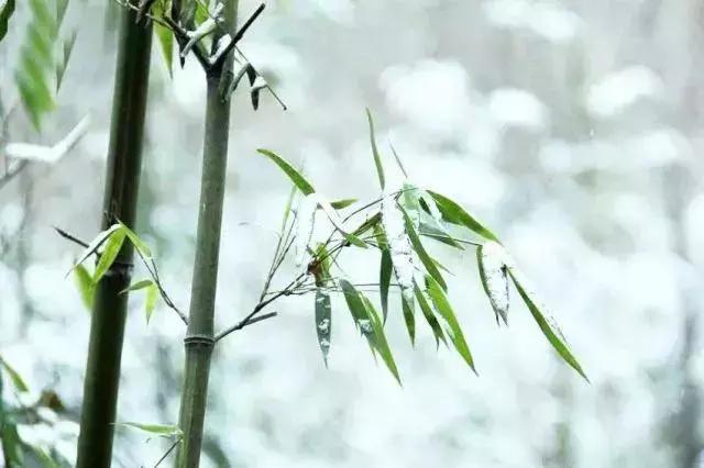 描写雪景的美文美句 描写雪景的美文美句