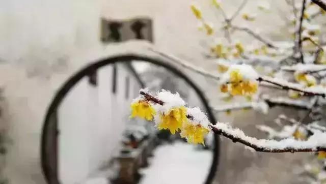 描写雪景的美文美句 描写雪景的美文美句