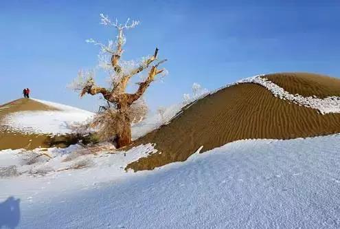 描写雪景的美文美句 描写雪景的美文美句
