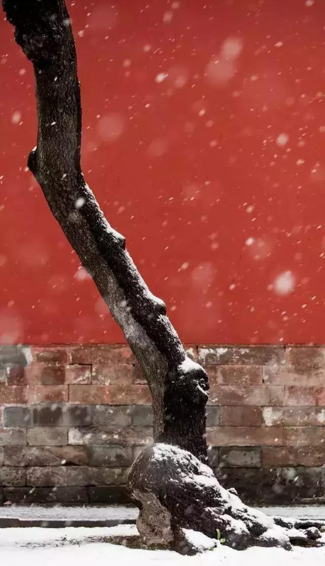 描写雪景的美文美句 描写雪景的美文美句