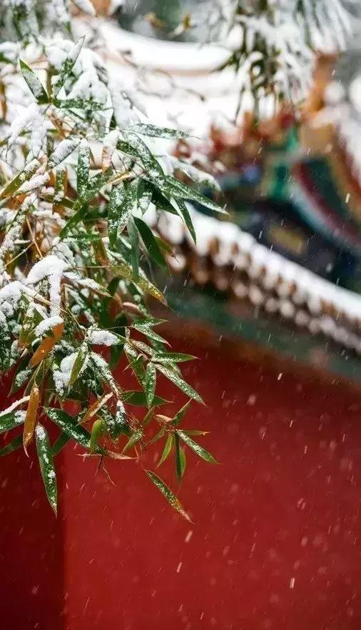 描写雪景的美文美句 描写雪景的美文美句