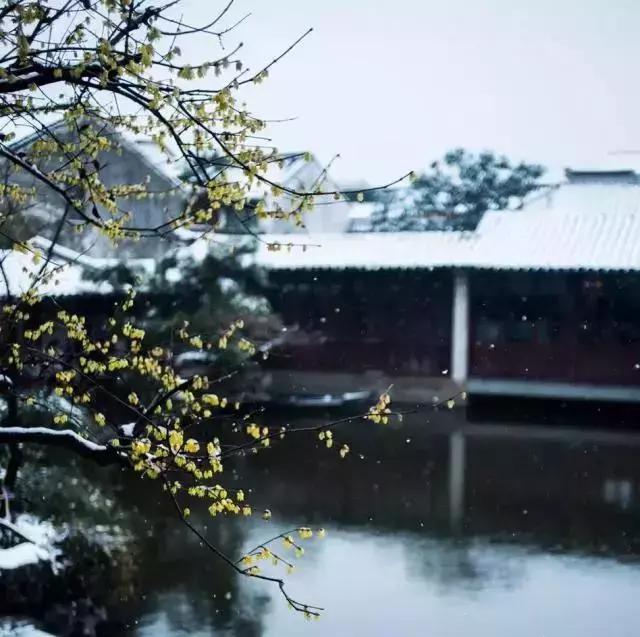 描写雪景的美文美句 描写雪景的美文美句