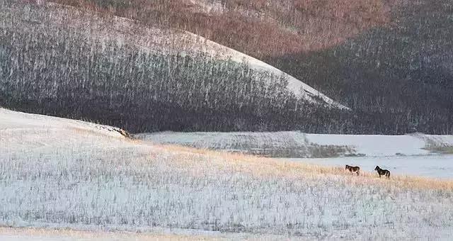 描写雪景的美文美句 描写雪景的美文美句