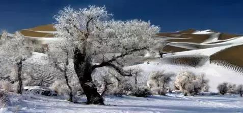 描写雪景的美文美句 描写雪景的美文美句