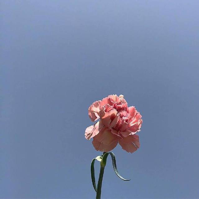 微信朋友圈早间鼓舞心语带图片,句句阳光正能量
