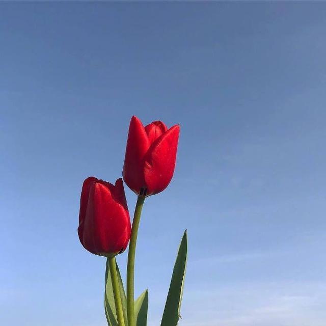 微信朋友圈早间鼓舞心语带图片,句句阳光正能量