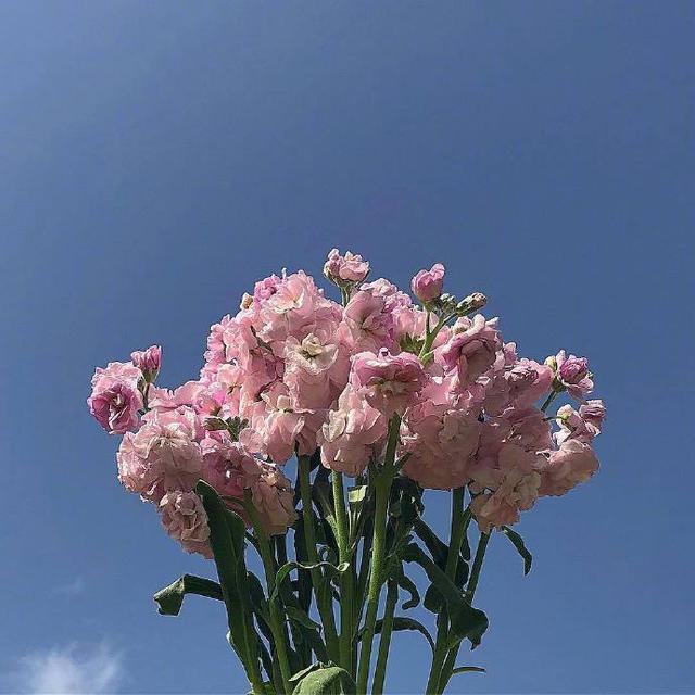 微信朋友圈早间鼓舞心语带图片,句句阳光正能量