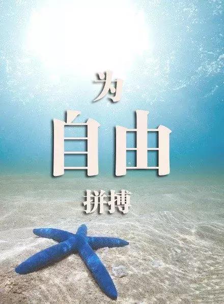 有关青春的美文美句 有关青春的美文美句