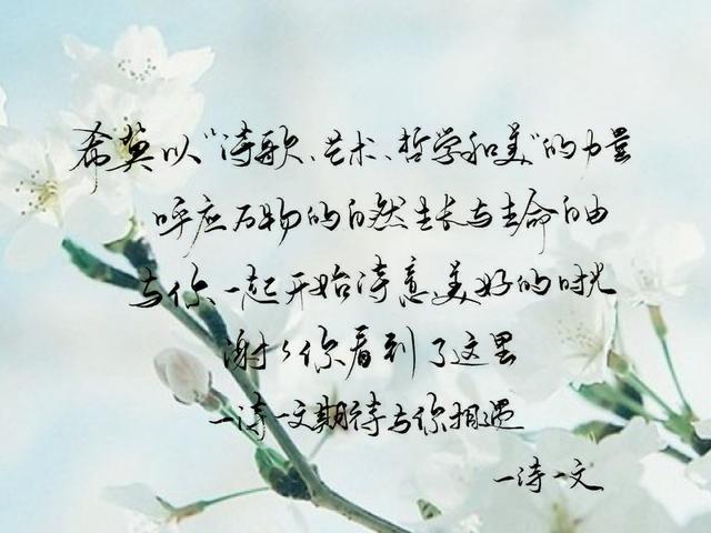 有关青春的美文美句 有关青春的美文美句