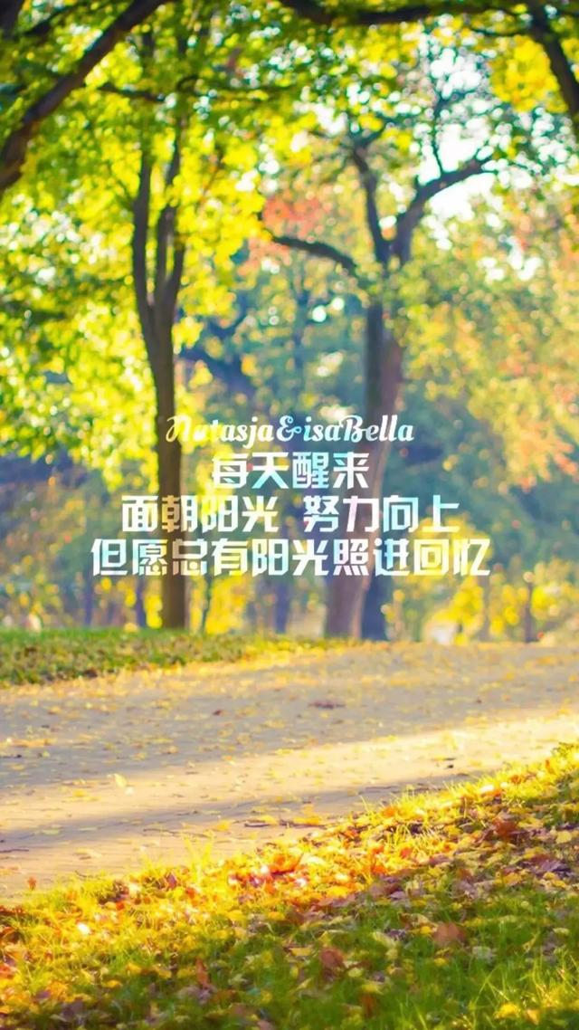 有关青春的美文美句 有关青春的美文美句