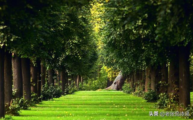 夏夜热得无法安睡,诗人写了一首诗,诠释了什么叫“心静自然凉”