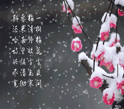 今日小雪时节，最温暖的祝福送给你，愿你生活美满，节日快乐