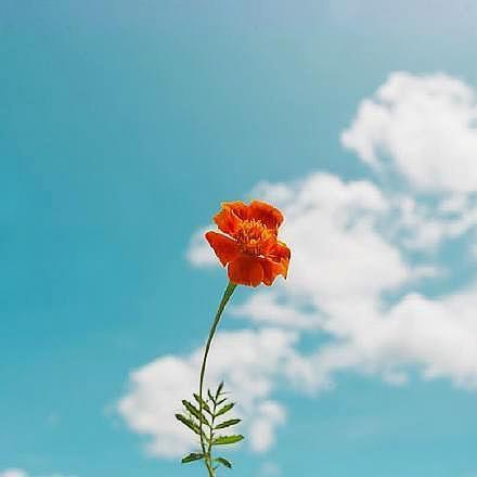 为你奋斗的句子 为你奋斗的句子