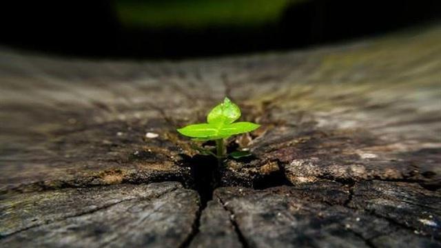 人生梦想和奋斗目标的句子【2020拼搏努力正能量的句子】