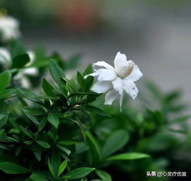 一言不合就怼ta的句子