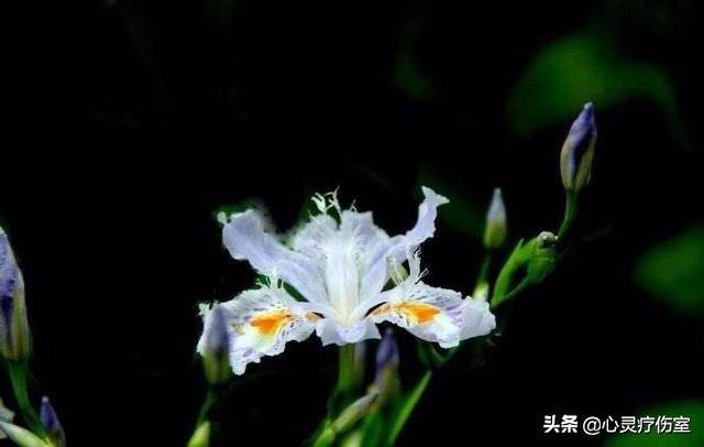 一言不合就怼ta的句子