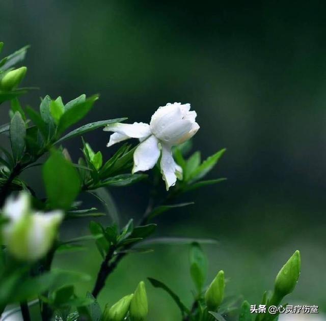 一言不合就怼ta的句子